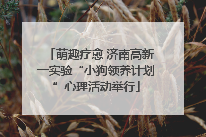 萌趣疗愈 济南高新一实验“小狗领养计划”心理活动举行